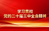 學習貫徹黨的二十屆三中全會精神